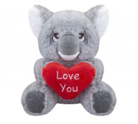Kola Bear